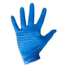 Nitrile Gloves - Blue - 5.0 Mil (10/100 per Case)